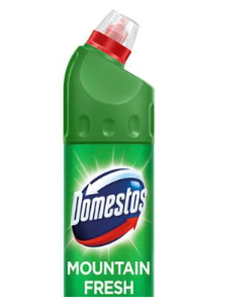 Средство для чистки унитаза Domestos WC Mountain Fresh 750мл