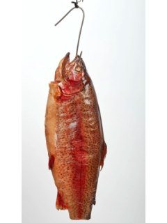 Форель горячего копчения тушка Карелия 