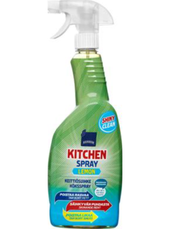 Спрей для чистки поверхностей кухни Rainbow 750мл Свежий лимон