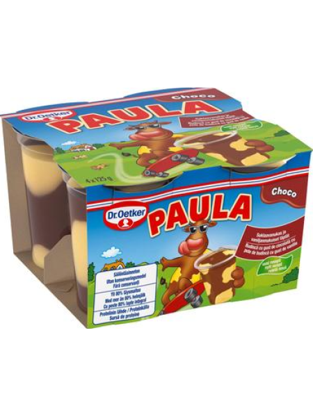 Шоколадный пудинг с ванильными кусочками Dr. Oetker Paula 4x125 г