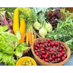 Товары для дачи