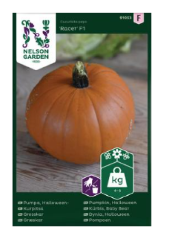 Семена тыквы для Хэллоуина Nelson Garden Racer F1 №91053 