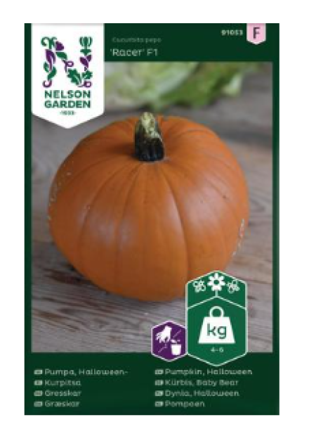 Семена тыквы для Хэллоуина Nelson Garden Racer F1 №91053 