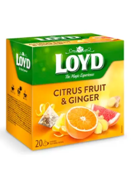 Травяной чай Loyd citrus fruit-ginger со вкусом имбиря и цитрусовых 20 х 2 г