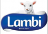 Lambi