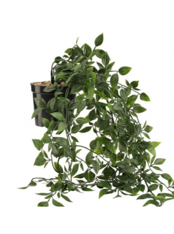 Искусственное растение OLIVER 70см вьюн