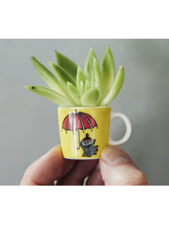 Набор мини чашек серии Arabia Moomin 6шт