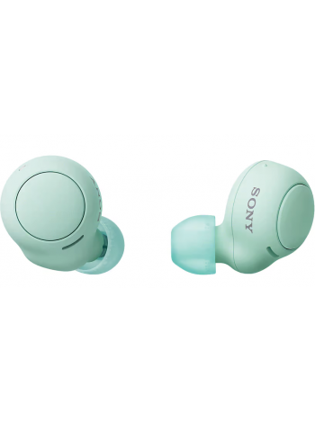 Наушники-вкладыши Sony WF-C500